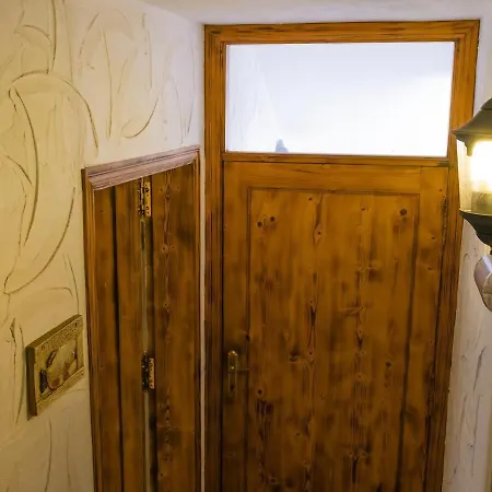 Live Poris Begonia 89 * Poris de Abona