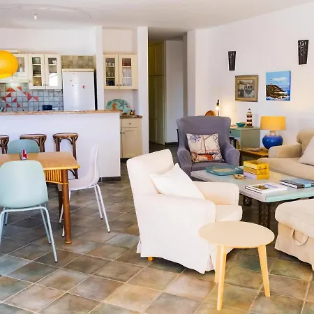 Live Poris Begonia 89 *